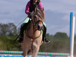 IMG_5639_web